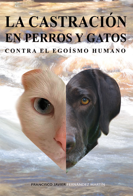 La castración en perros y gatos